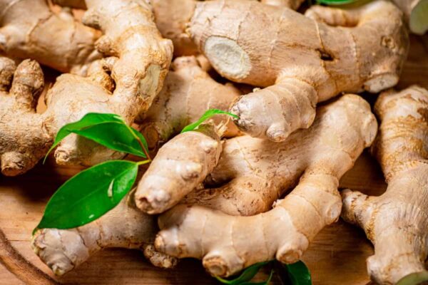 Ginger - Image 4